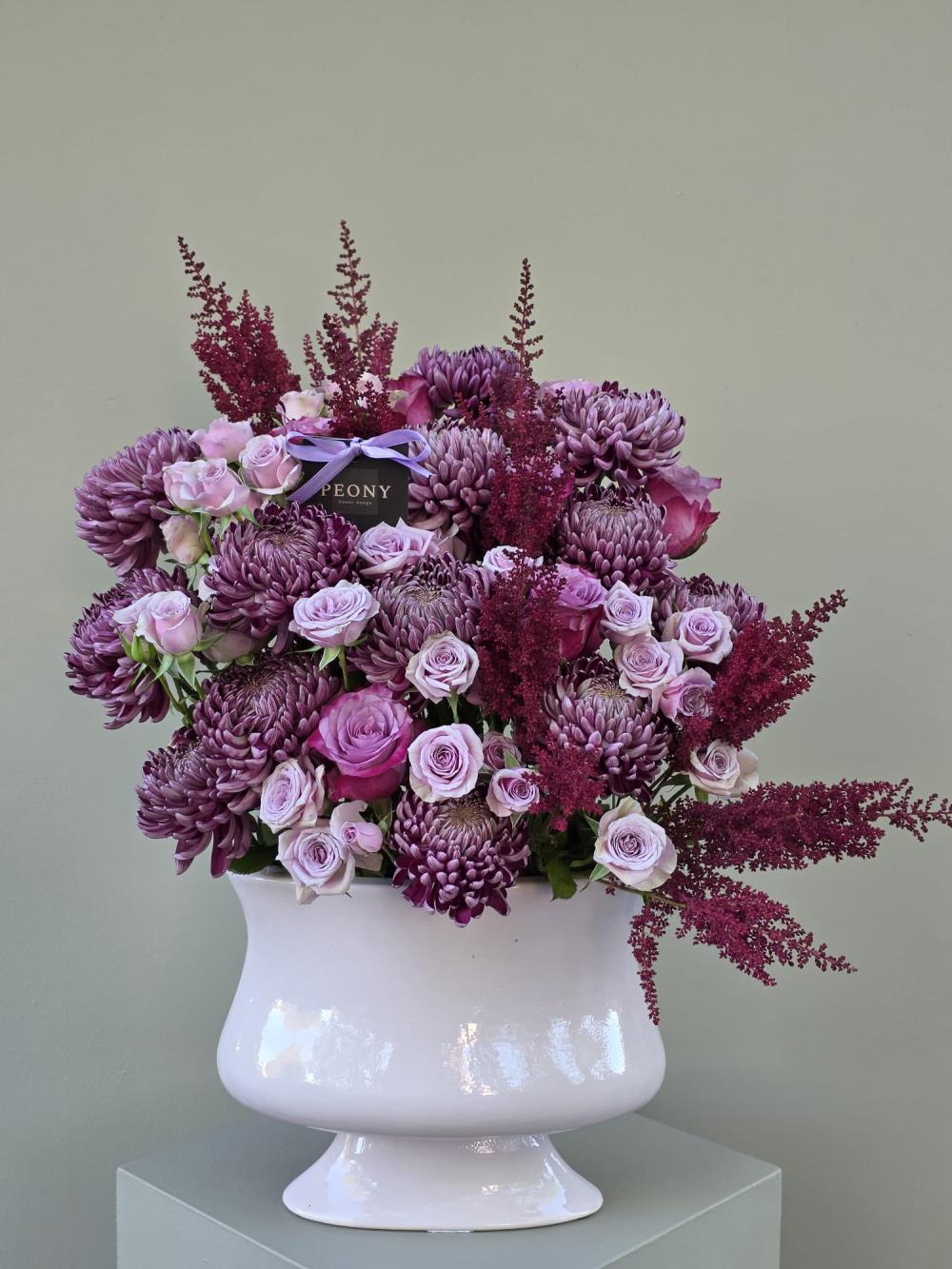 Plum Passion Melody